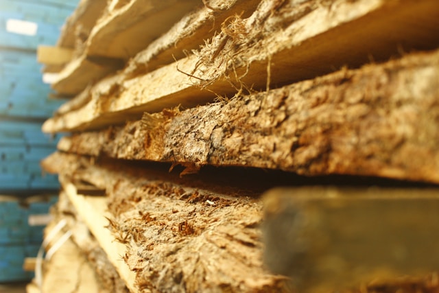 drewno suche i mokre