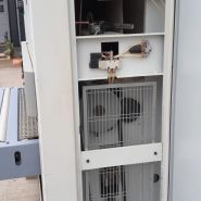 Szlifierka szerokotaśmowa  ITALPRESSE 1100 19/25 zdjęcie 7